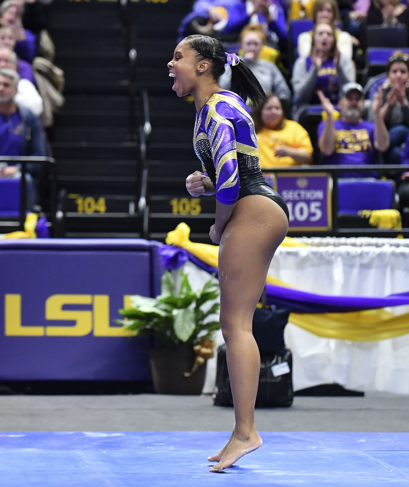 lsucalgymnastics.010519_HS_1755